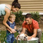 Child & dog - © iofoto - Fotolia.com