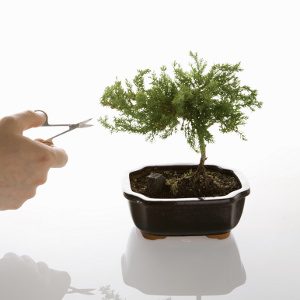Perfezionismo e la chimera del Genitore Perfetto - Immagine: © falcorpic - Fotolia.com -