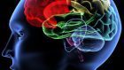 Da Freud ai Neuroni Specchio: Schizofrenia e social perception.