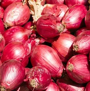 Mangia la cipolla che ti passa! - Immagine: © caprasilana - Fotolia.com 