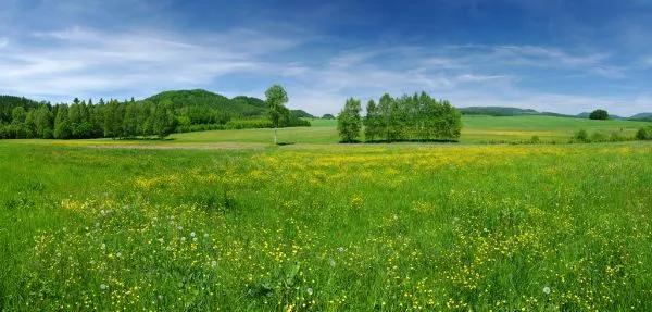 Ambienti rigenerativi - Immagine: © CCat82 - Fotolia.com