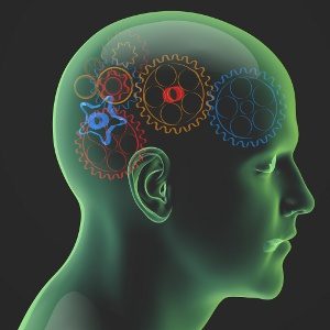 Fare acquisti usando il cervello: Neuromarketing, by Martin Lindstrom - Immagine: © vege - Fotolia.com 