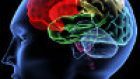 Malattia di Parkinson e Memoria Prospettica: l’efficacia farmacologica sul deficit cognitivo.