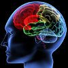 Malattia di Parkinson e Memoria Prospettica: l’Efficacia Farmacologica sul Deficit Cognitivo© V. Yakobchuk - Fotolia.com - Anteprima