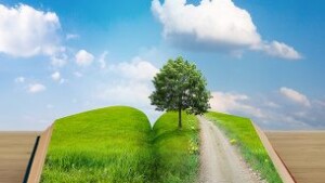 Come i ricordi influenzano le emozioni. - Immagine: © adimas - Fotolia.com