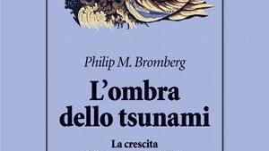 L'ombra dello Tsunami: Recensione del Prof. Vittorio Lingiardi. - Immagine: copertina libro. Proprietà di Raffaello Cortina Editore.