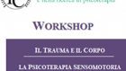 Seminario di Pat Ogden #2: Il Trauma e il Corpo: La Terapia Sensomotoria