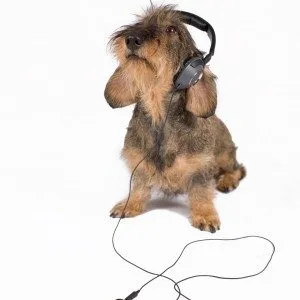 L’Approccio Metacognitivo Evoluzionista alla Musicoterapia (MEM). - Immagine: © Gianni - Fotolia.com