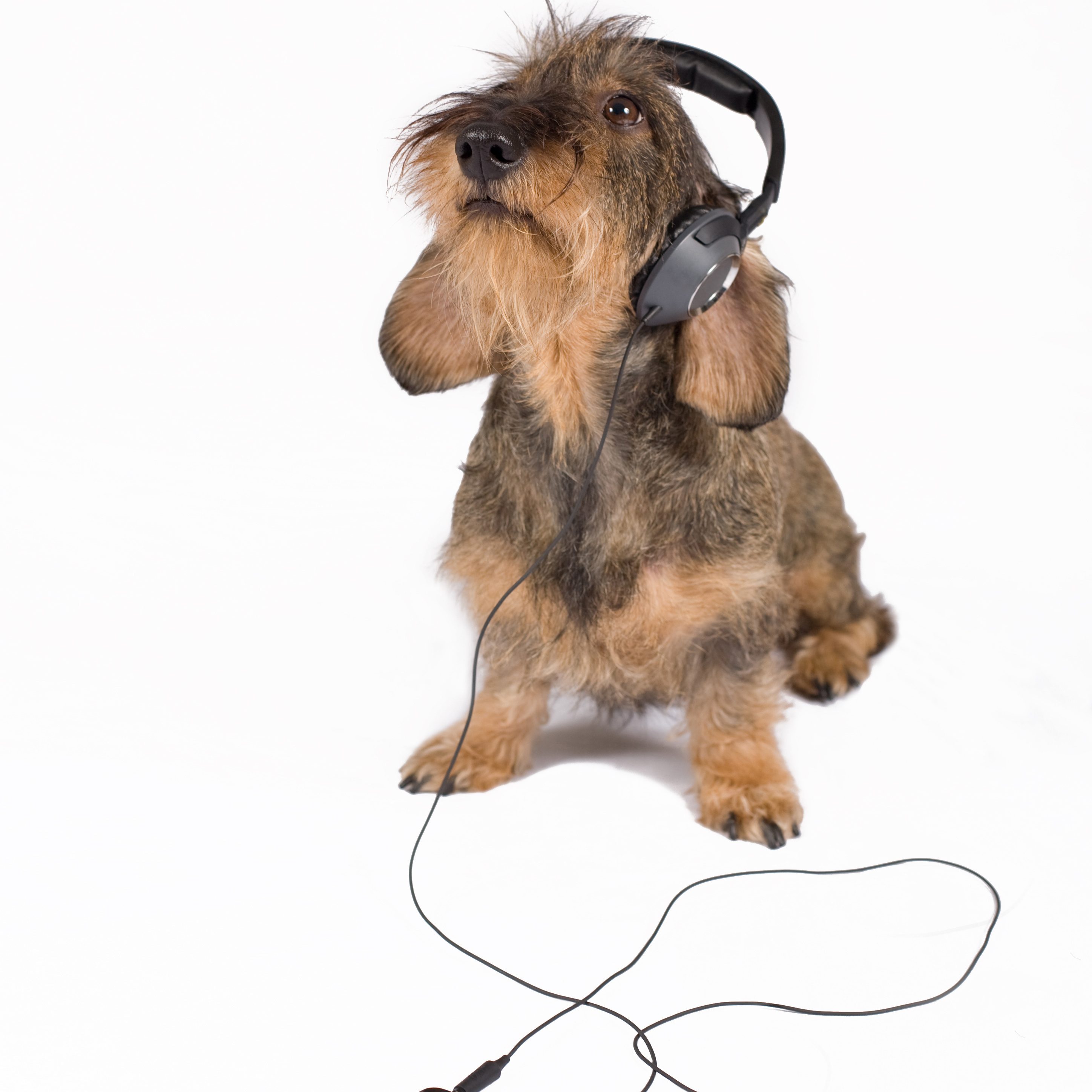 L’Approccio Metacognitivo Evoluzionista alla Musicoterapia (MEM). - Immagine: © Gianni - Fotolia.com