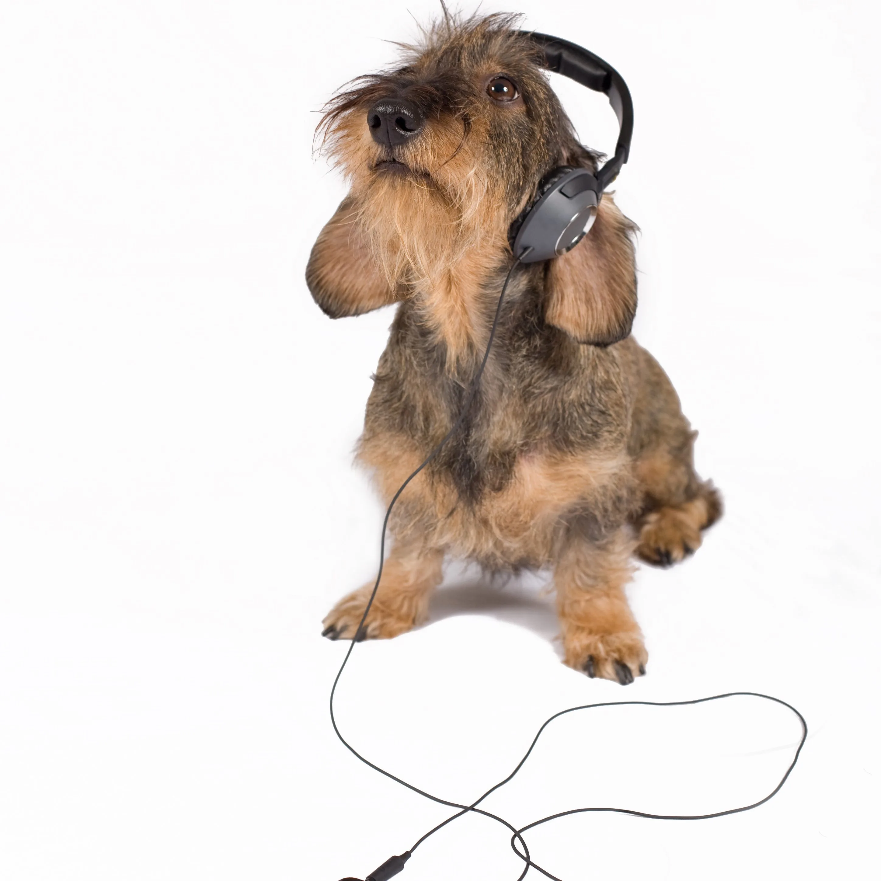 L’Approccio Metacognitivo Evoluzionista alla Musicoterapia (MEM). - Immagine: © Gianni - Fotolia.com