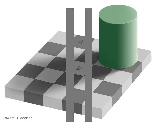 checker shadow illusion.  proof - Immagine: ©1995, Edward H. Adelson.