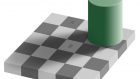 L’ illusione ottica della scacchiera. Quante sfumature di grigio?