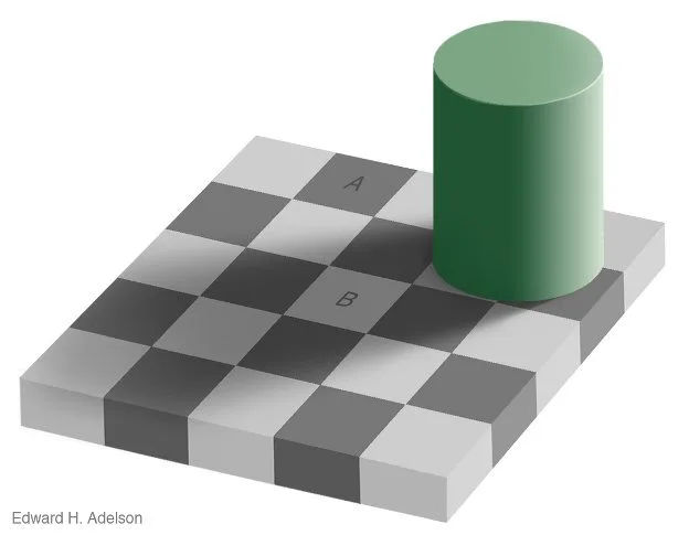 checker shadow illusion. - Immagine: ©1995, Edward H. Adelson.