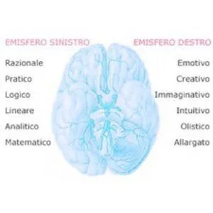 L’Insostenibilità Neuroconcettuale della Fisica Teorica del Novecento