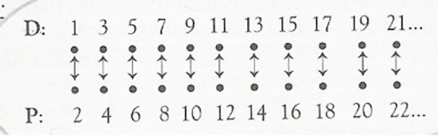 Bertagnolio_fig_5