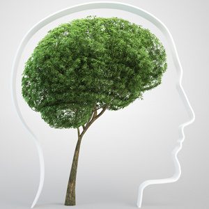 La Mentalisation Based Therapy di Peter Fonagy- il corso all’Anna Freud Institute di Londra. -Immagine:© Mopic - Fotolia.com 