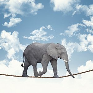 Adolescenza: L'età degli Elefanti in Equilibrio Su un Filo. -Immagine: © tiero - Fotolia.com