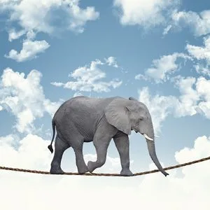Adolescenza: L'età degli Elefanti in Equilibrio Su un Filo. -Immagine: © tiero - Fotolia.com