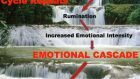 Il Disturbo Borderline di Personalità: Una Cascata Emotiva