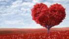 Amore e Familiarità: una questione di Attaccamento