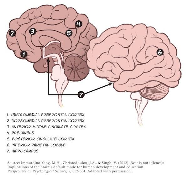 Default Mode Network Default Mode Network