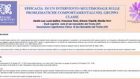 Intervento multimodale sulle problematiche in classe – Assisi 2013