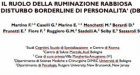 La ruminazione rabbiosa nel disturbo borderline – Assisi 2013