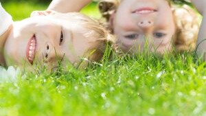 Chi trova un amico trova un tesoro. - Immagine: © Igor Yaruta - Fotolia.com