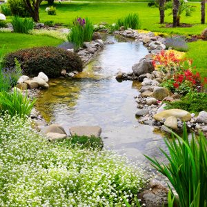 Mindfulness e pressione arteriosa . - Immagine: ©-Dmytro-Smaglov-Fotolia.com