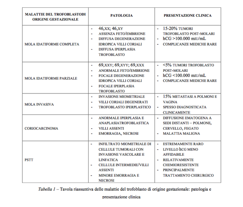 BOCCALARI GRAFICO 2