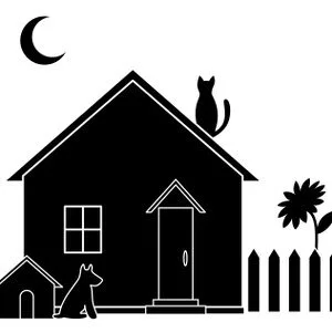 CIM. Catwoman n.2. - Immagine: &copy;-alexokokok-Fotolia.com
