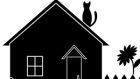 Catwoman – CIM Nr.02 – Storie dalla Psicoterapia Pubblica