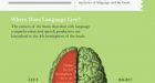 Il Linguaggio e il Cervello! – Infografica su Neuropsicologia & Linguistica