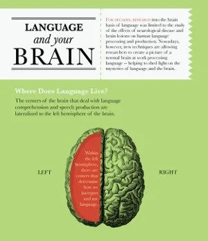 Language and Brain - Infographics - Immagine www.voxyblog.com FEATURED