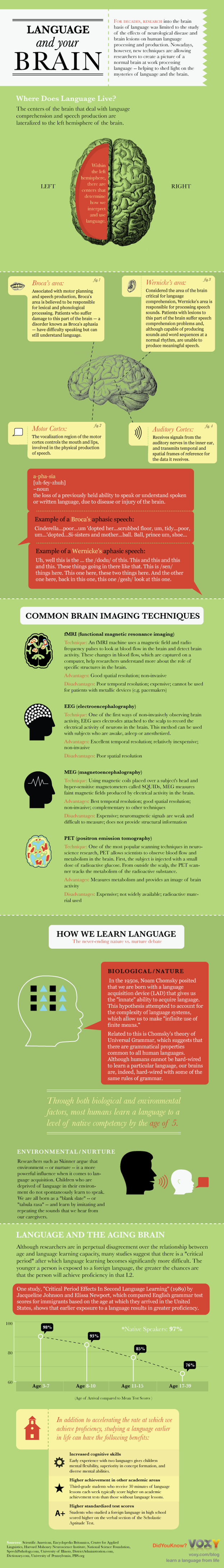 Language and Brain - Infographics - Immagine: www.voxyblog.com