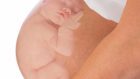 Razionalità primaria e Attaccamento Madre-Feto: dinamiche di sviluppo durante la Gravidanza