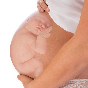 Razionalità primaria e attaccamento madre-feto - Premio State of Mind 2013. -Immagine: © Anyka - Fotolia.com