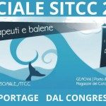 SITCC 2014 TEASER