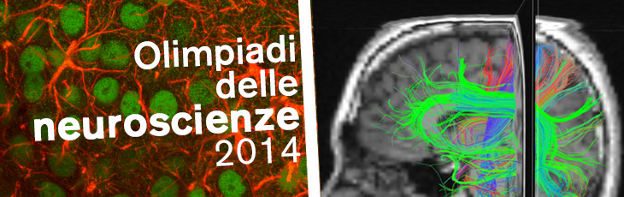 Olimpiadi delle Neuroscienze 2014 - Università di Trento