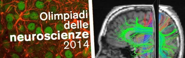 Olimpiadi delle Neuroscienze 2014 - Università di Trento