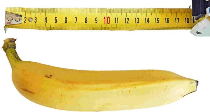 Piccola vagina grande pene