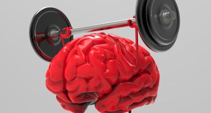 La Stimolazione Cognitiva nella Demenza: una palestra per il cervello