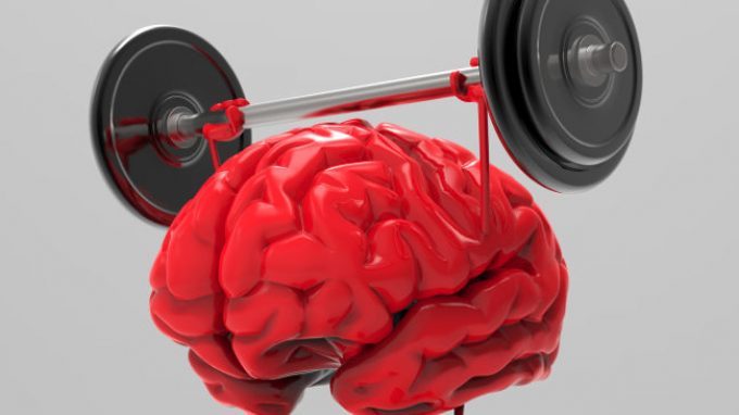 La Stimolazione Cognitiva nella Demenza: una palestra per il cervello