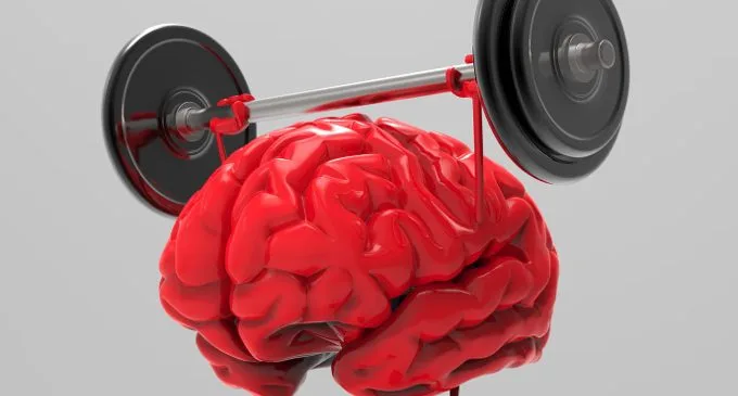 La stimolazione cognitiva nella demenza: una palestra per il cervello - Immagine: #65154267