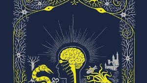 Neurocomic - Neuroscienze e Cervello a Fumetti. Graphic Novel di Matteo di Farinella Hana Roš (2014)