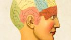 Neurobufale: miti e luoghi comuni sulle Neuroscienze nei discorsi di tutti i giorni