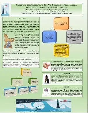 poster Silvana Zito_SITCC 2014