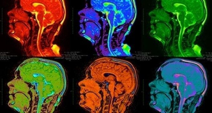 Esperienze sinestetiche in cucina: arriva la Kitchen Theory
