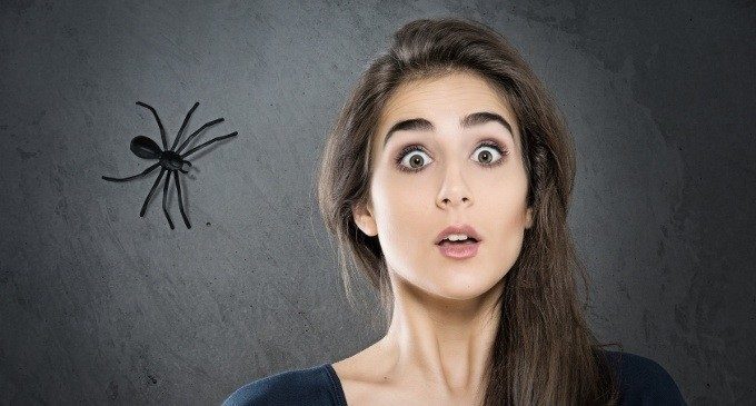 Che cosa sono le fobie? – Introduzione alla Psicologia Nr. 05