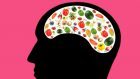 Neuroscienze: i circuiti neuronali che regolano l’appetito